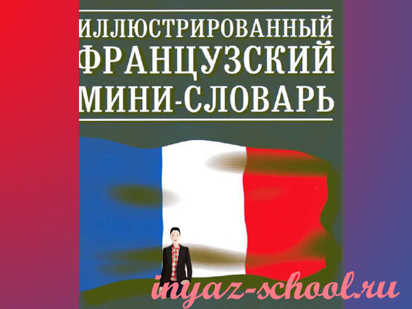 иллюстрированный мини-словарь по французскому языку