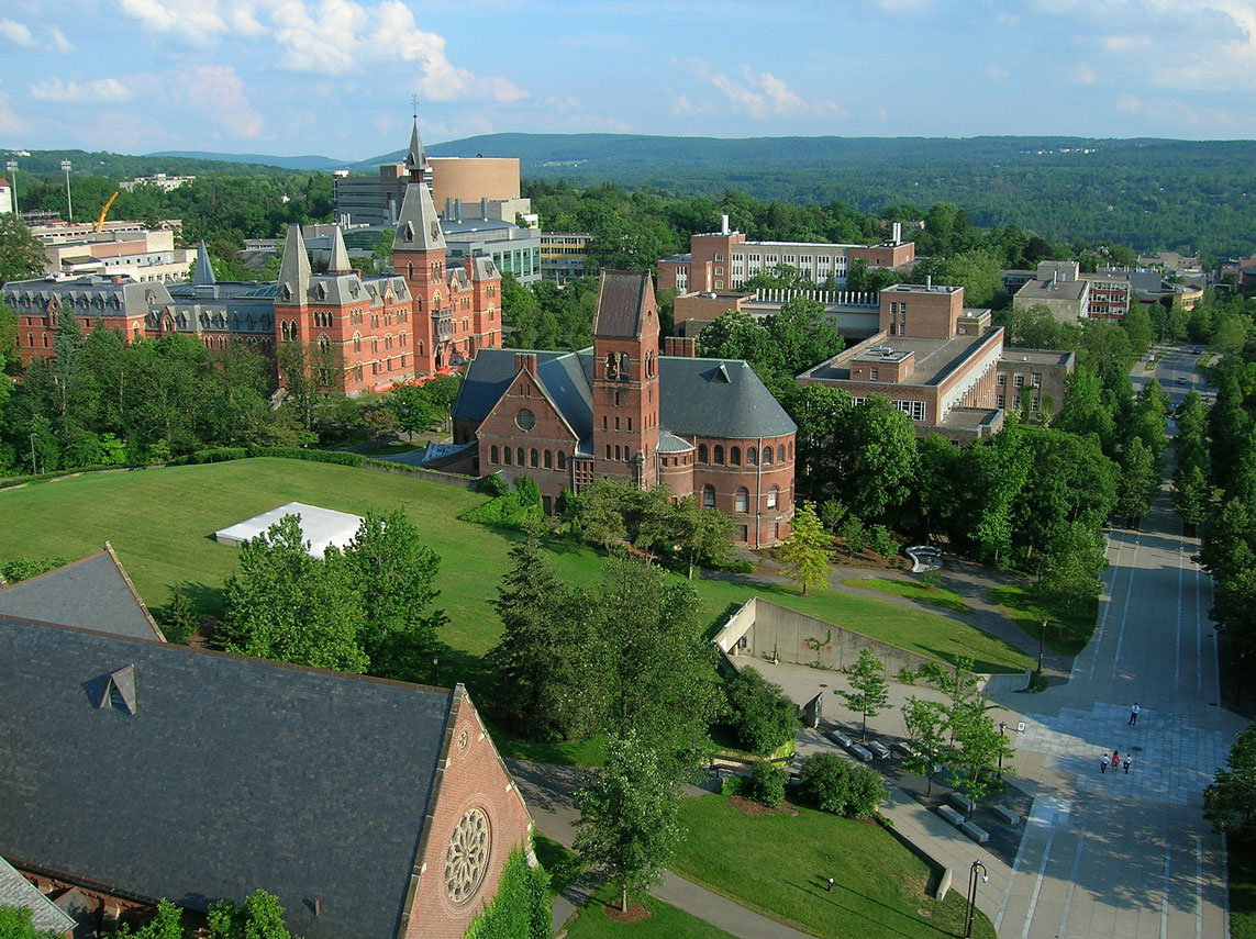 Cornell University фото (7)